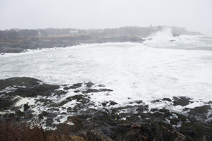 Northeastern University's Marine Science Center in Nahant, Mass. Photo by Brooks Canaday.