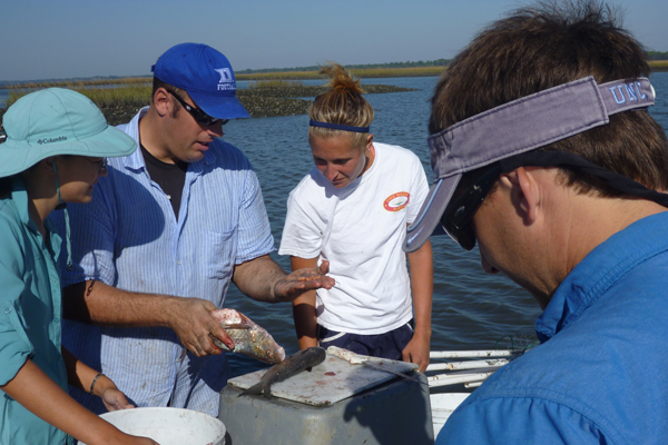 Stuck in the middle with oysters and crabs - Northeastern Global News