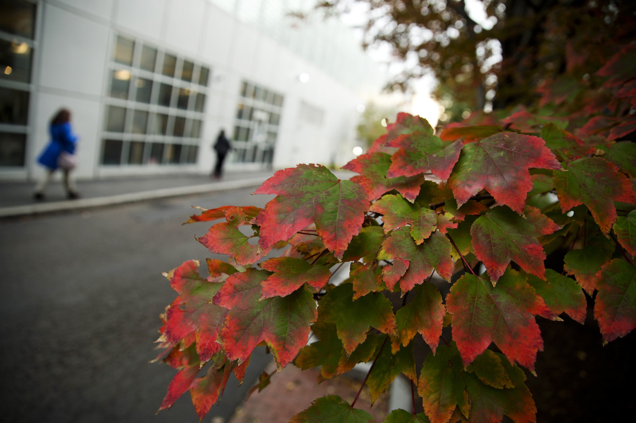 fall-campus-feature-4