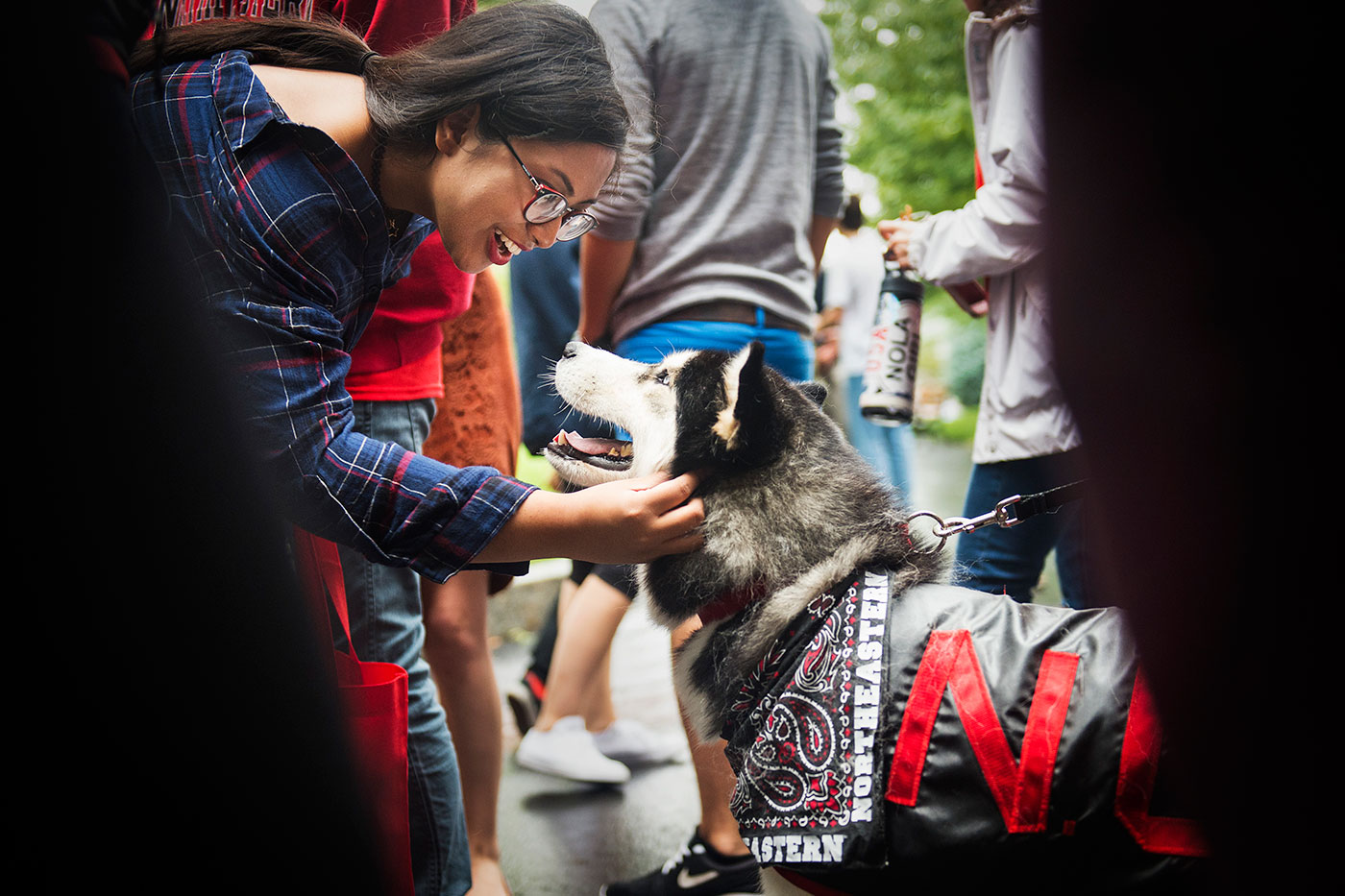A student pets King Husky during the Fall Fest event held on Centennial Common Tuesday. Photo by Adam Glanzman/Northeastern University