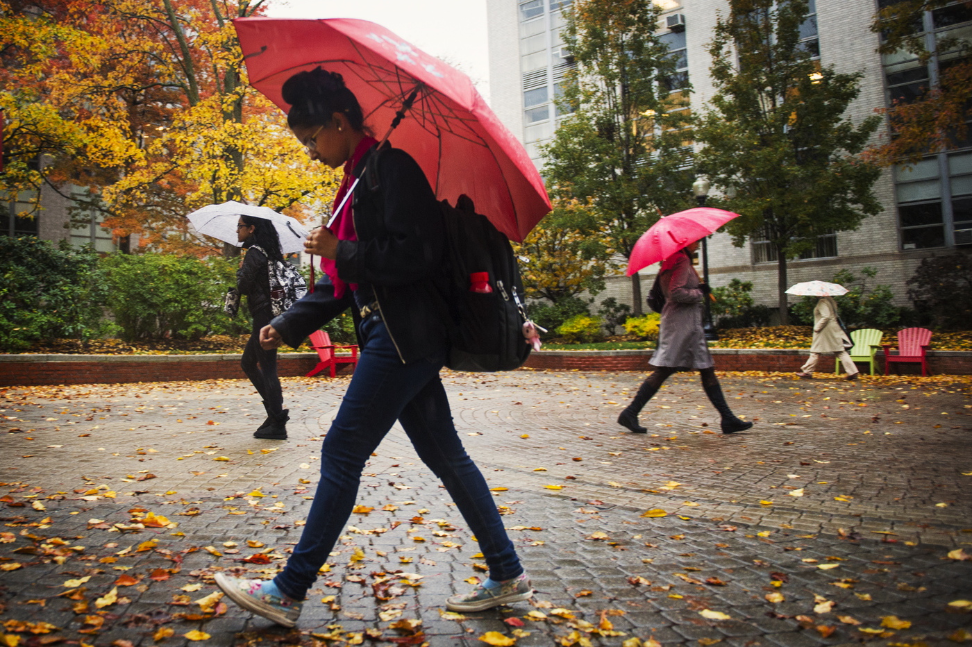 Rain Gradually Stop Who'll stop the rain - Northeastern Global News