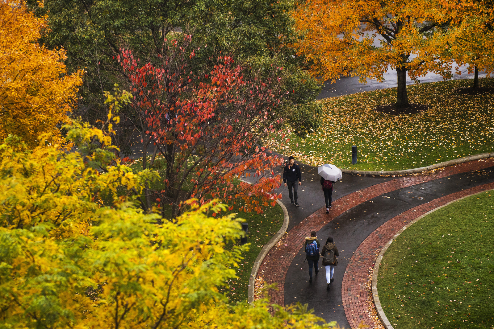 Free (Fall)in' Northeastern Global News
