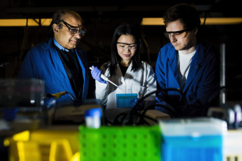 Professor Sri Sridhar (left) works in the lab with his students Ju Qiao and Liam Timms. <i>Photo by Adam Glanzman/Northeastern University</i>