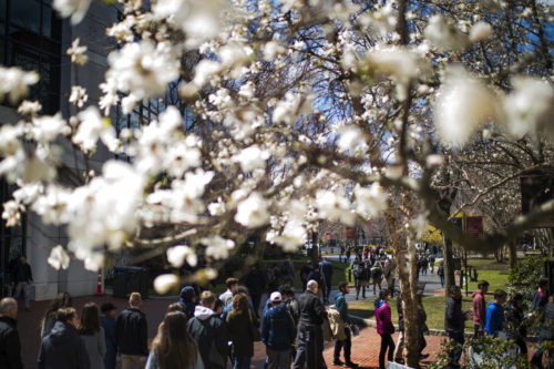 Students walk toward Centennial Common on April 18, 2018. Photo by Adam Glanzman/Northeastern University