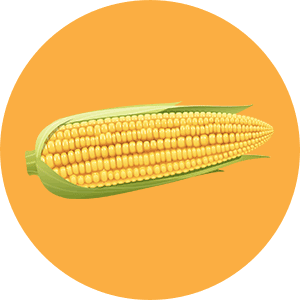 Mexican street corn icon