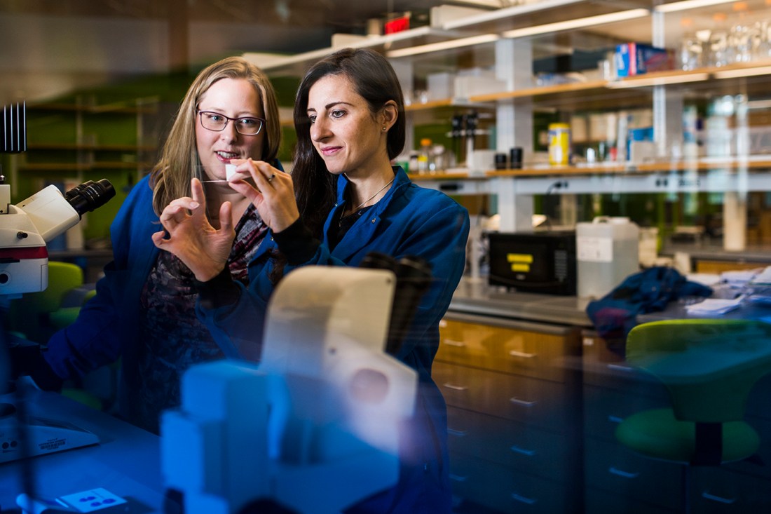 Chiara Bellini, in a blue labcoat, displays an item to another person in her laboratory.