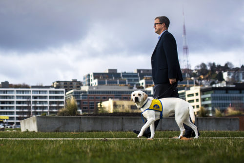 Dave Thurman, the dean of Northeastern in Seattle, works with a service dog in Seattle on November 28, 2018. Photo by Adam Glanzman/Northeastern University