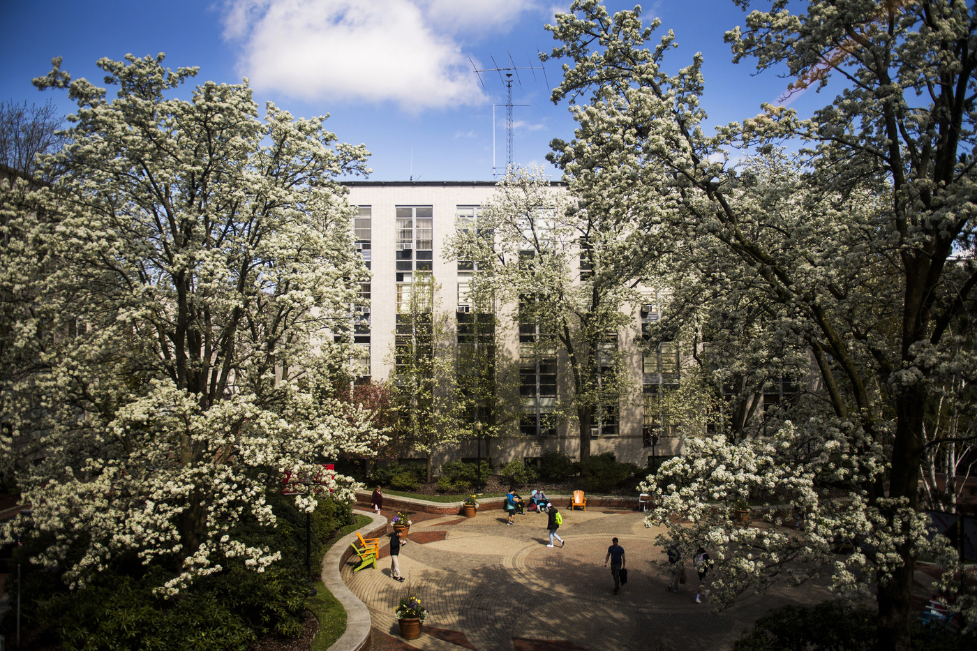 Northeastern University’s Boston campus has been officially recognized as a level two arboretum by ArbNet