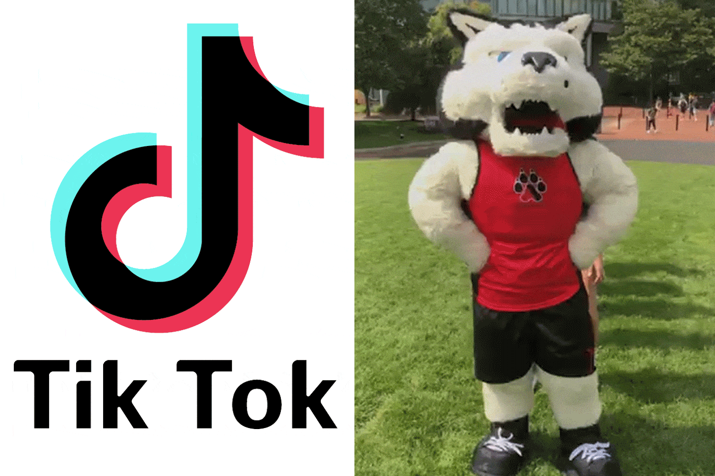 Get a slice of campus life 15 seconds at a time by following Northeastern on TikTok. Credit: @northeasternu on TikTok