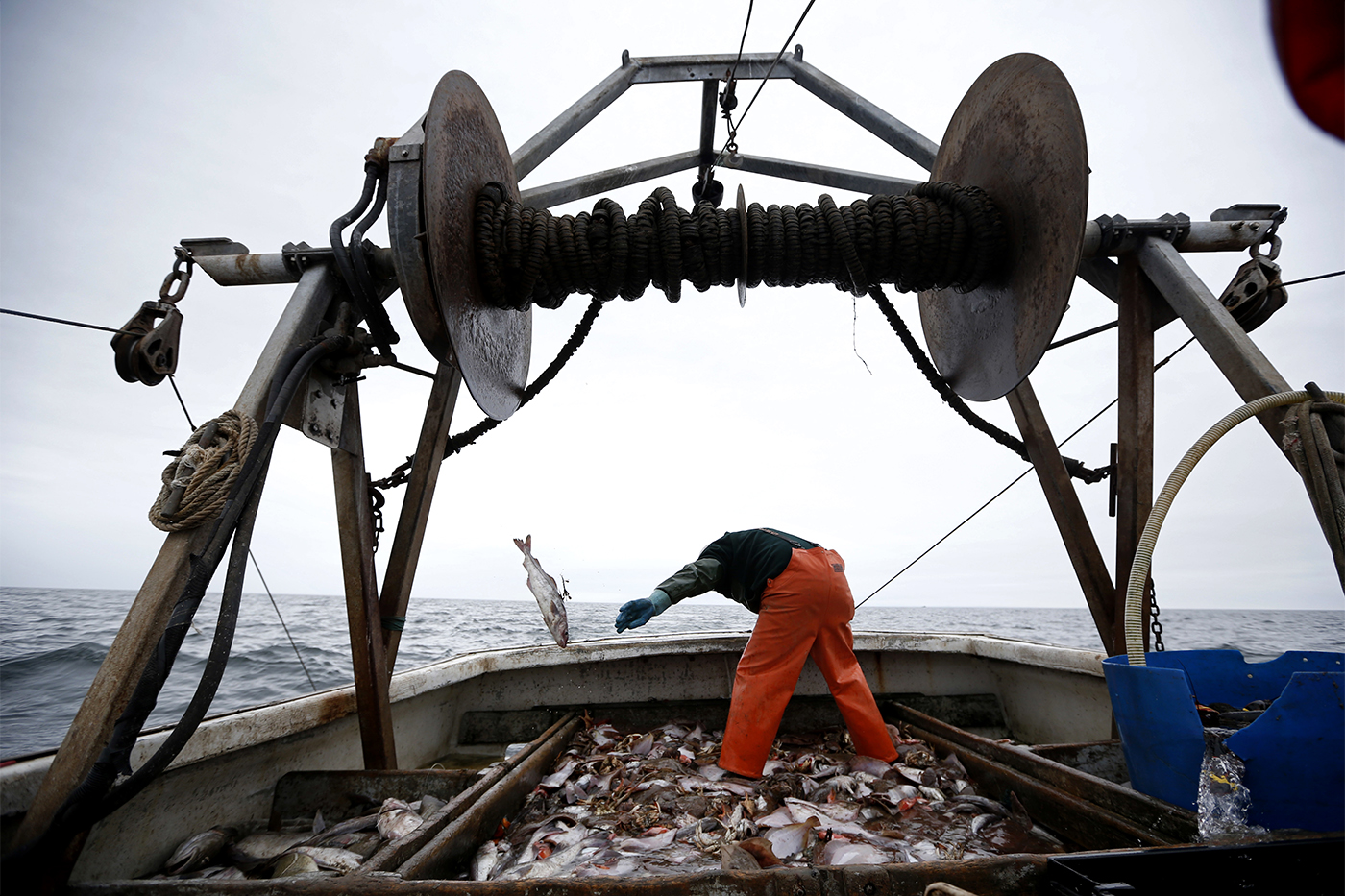 Gulf of Maine Cod Fishery and Fisherman Are In Rough Shape