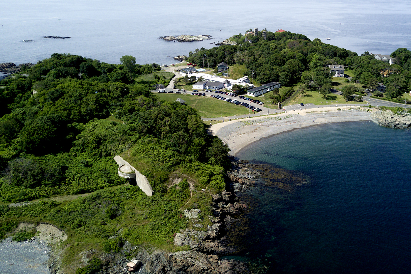 Northeastern to preserve and restore existing open space on Nahant