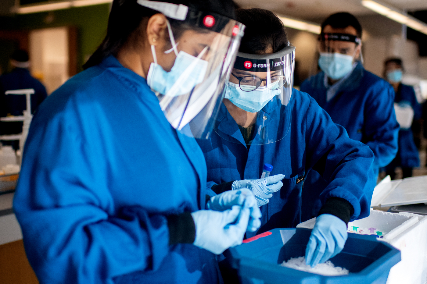 Lab research Northeastern Global News