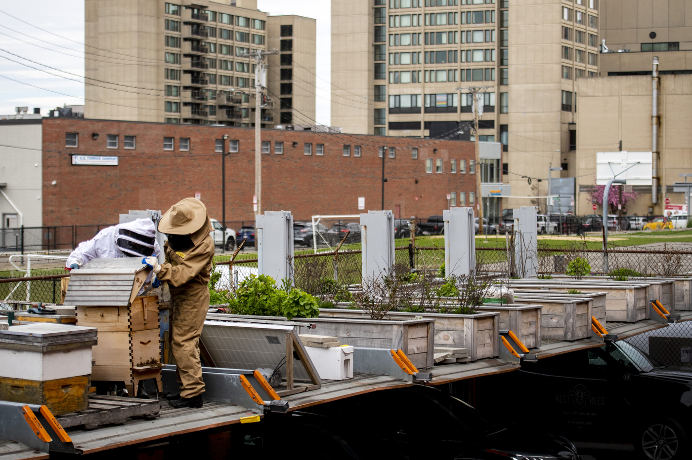 Beekeeper attending to hives on a city rooftop