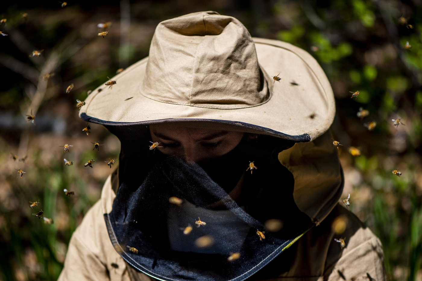 A student wearing a beekeeper hat and mesh surrounded by bees