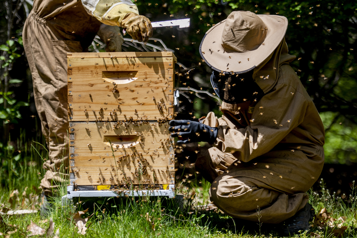 A beekeeper surrounded by bees next to a beehive