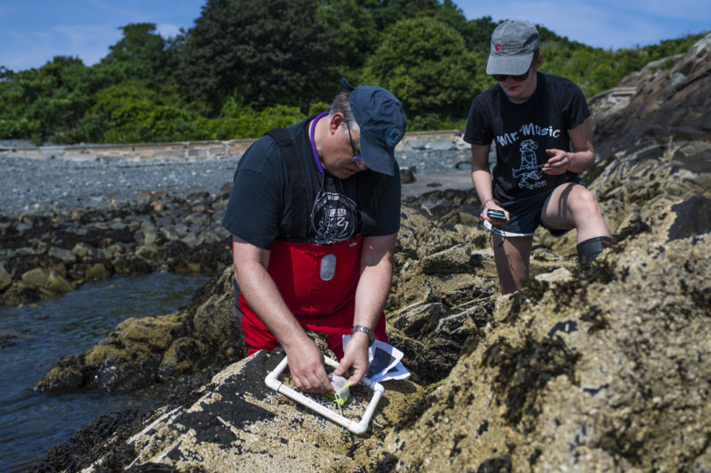 Northeastern University marine science and public policy professor Brian Helmuth and lab technician Sahana Simonetti, a recent marine biology graduate, conduct research on the shores of the Nahant campus. Helmuth’s battery powered robotic mussels provide greater insight into the thermal stresses being placed on various organisms by climate change. Photo by Alyssa Stone/Northeastern University