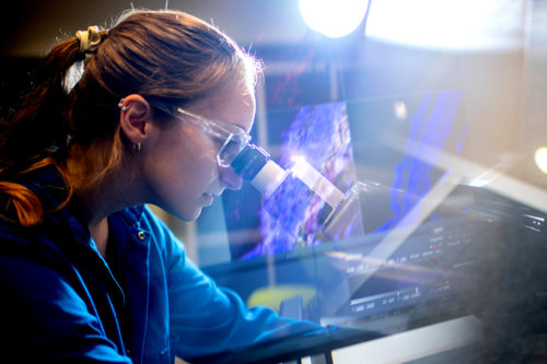 Northeastern student Nicole Langlois checks a tissue sample using a Zeiss LSM 800 confocal microscope at the Chemical Imaging of Living Systems core facility in the Interdisciplinary Science Engineering Complex. Photo by Matthew Modoono/Northeastern University