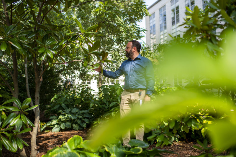One of the priorities, like Stephen Schneider, has been to improve the registry of plants for the benefit of researchers since the new decades.  Photo by Alyssa Stone / Northeast University