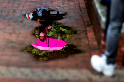 A member of the Northeastern community is reflected in a puddle while walking though Snell Quad on a rainy Monday. Photo by Matthew Modoono/Northeastern University