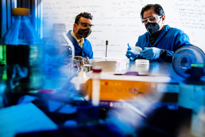 Neel Joshi, associate professor of chemistry and chemical biology, and Avinash Manjula-Basavanna, a postdoctoral researcher, work on programmable microbial ink for 3D printing of living materials, in the Mugar Life Sciences building. Photo by Matthew Modoono/Northeastern University