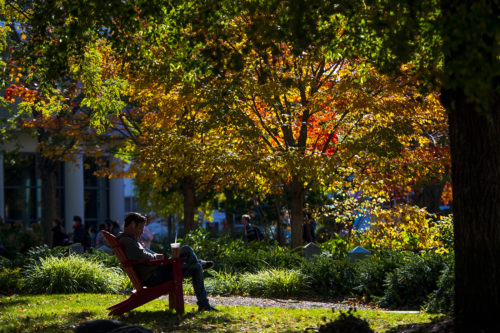 A member of the Northeastern community relaxes in an Adirondack chair. Photo by Alyssa Stone/Northeastern University