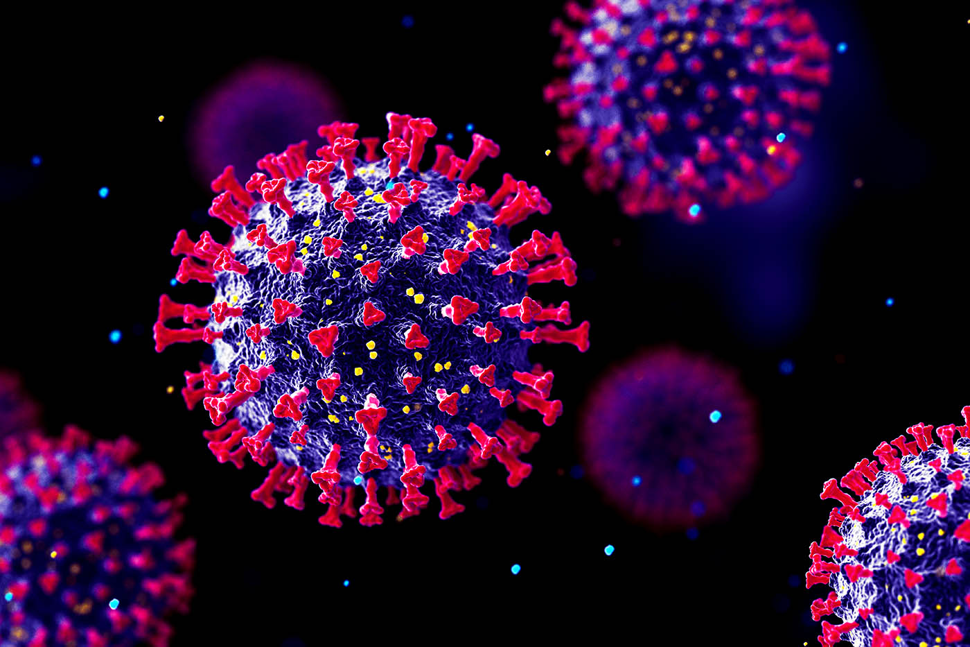 3D rendering of the COVID19 virus
