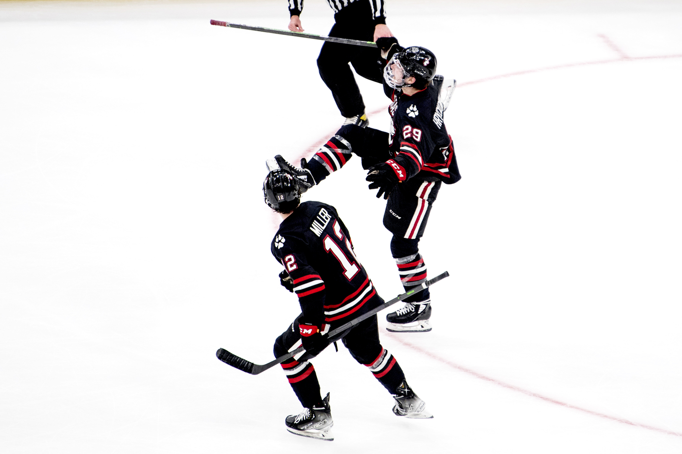 Justin Hryckowian (29) celebrates the clinching goal with 14 seconds left.