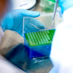 lab technician holding a pool of covid tests