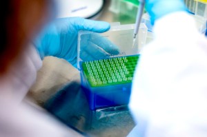 lab technician holding a pool of covid tests