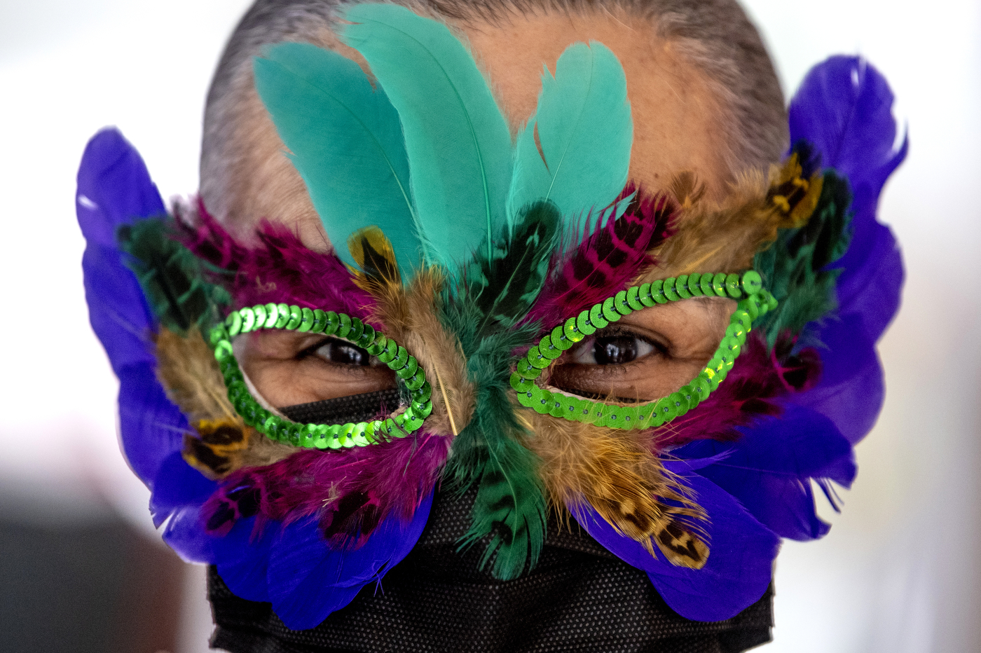 Mardi Gras mask, Parades, King Cakes and Balls are a major …