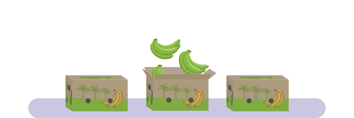 Bananas are packaged for shipment.  Artwork by Christopher Anderton.