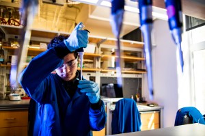 Northeastern biology major Dillon Nishigaya, conducts cancer research in a Mugar lab. Nishigaya was inspired to student science after overcoming scoliosis.