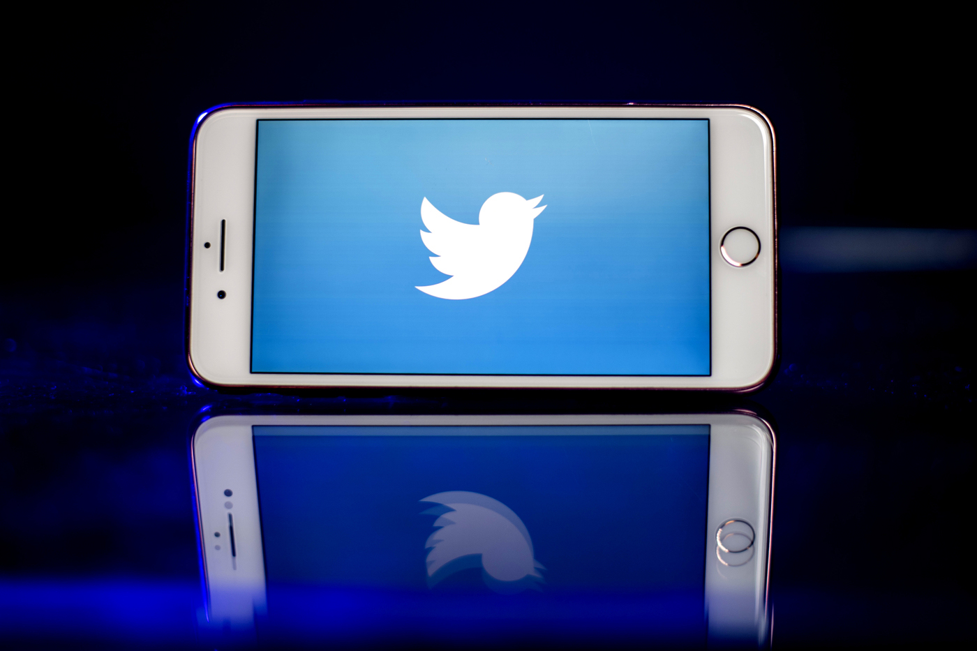 A smartphone with the Twitter logo on it