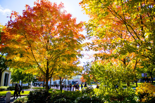 Fall foliage is seen outside the Egan Research Center on Oct. 25, 2018. Photo by Matthew Modoono/Northeastern University