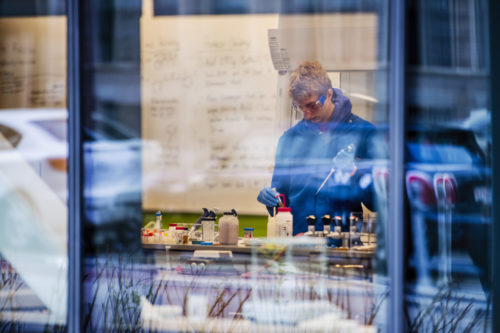 A student works in a lab in the Interdisciplinary Science and Engineering Complex. Photo by Adam Glanzman/Northeastern University