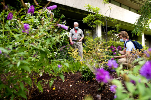Chuck Doughty, Northeastern's landscaping program director and co-op Marc Carlson, who studies landscape architecture and environmental science, walk through the arboretum tagging process. Photo by Matthew Modoono/Northeastern University