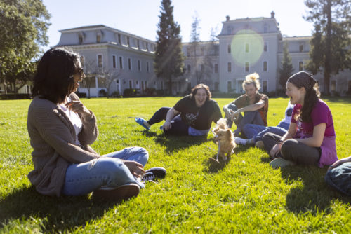 Northeastern students Malathi Reddy, Tess Spitzer Caldwell and Griffin Gould and Mills student Anna Ettlinger sit on Holmgren Meadow at Mills College in Oakland, California. Photo by Ruby Wallau for Northeastern University