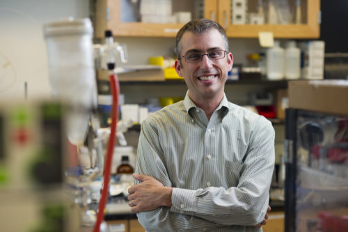 Michael Pollastri is professor and chair of the Department of Chemistry and Chemical Biology. <i>Photo by Brooks Canaday/Northeastern University</i>