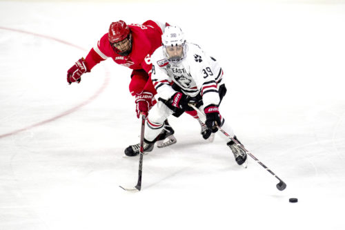Forward Liam Pecararo, who scored the Huskies’ lone goal on Saturday, skates with the puck while holding off a Cornell opponent. Photo by Matthew Modoono/Northeastern University