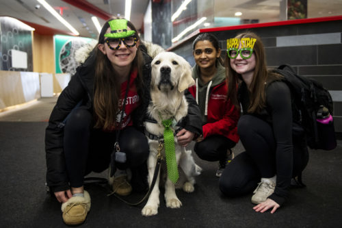 Northeastern students pose with NUPD K9 Cooper as part of the St. Patrick’s Day celebration at the Curry Student Center. Photo by Alyssa Stone/Northeastern University
