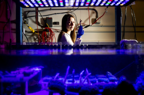 Amanda Dwyer, a graduate of Northeastern's doctoral program in marine and environmental sciences, is joining the Marine Debris Program at the National Oceanic and Atmospheric Administration. Photo by Ruby Wallau/Northeastern University