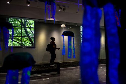 A Northeastern student walks past the newly installed annual Russell J. Call Children's Center art show in Gallery 360. Photo by Matthew Modoono/Northeastern University