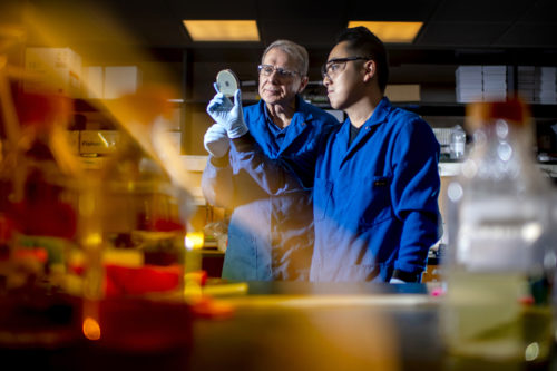 Kim Lewis, University Distinguished Professor of biology in the College of Science, and Yu Imai, a postdoctoral research associate at Lewis’ lab, discovered a new class of antibiotics that could help fight drug-resistant gram-negative bacteria. Photo by Matthew Modoono/Northeastern University