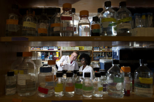 Biology students in the College of Science work on research projects in lab space at the Mugar Life Sciences Building on Sept. 25, 2015.  Photo by Adam Glanzman/Northeastern University