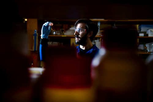 David Medina, a doctoral student at Northeastern, is using bacteria to produce nanoparticles that are particularly effective at killing whatever type of cell was used to create them, including strains of bacteria that are resistant to traditional antibiotics. Photo by Matthew Modoono/Northeastern University