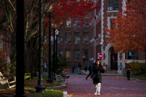 A member of the Northeastern community walks through a patch of sun on the Boston campus. Photo by Alyssa Stone/Northeastern University