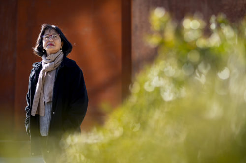 Margaret Woo, law professor and former trustee of the Asian American Legal Defense and Education Fund, poses for a portrait. Photo by Ruby Wallau/Northeastern University