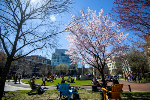 Students enjoy a spring day on Centennial Common. Photo by Matthew Modoono/Northeastern University