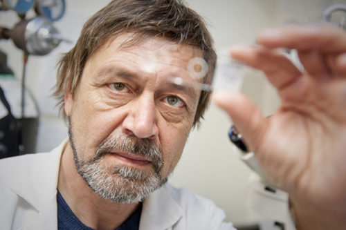 Slava Epstein, professor of biology, looks at a slide containing novel microorganisms from human microbiome.  Epstein has published a paper presenting a new theory for dormant bacteria and antibiotic resistance.