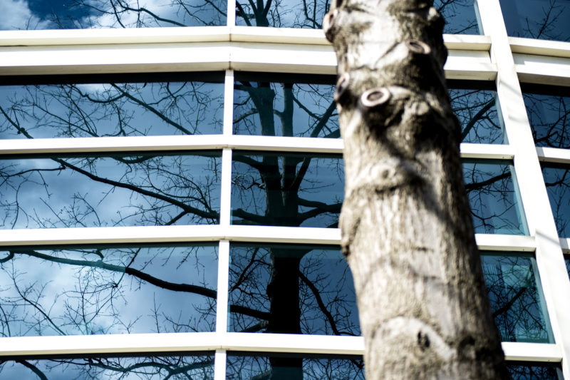 Here’s a hot take on cold trees: Winter’s a great time to tour ...